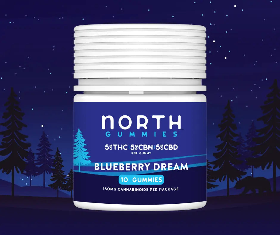 Blueberry Dream Sleep Gummy Pack